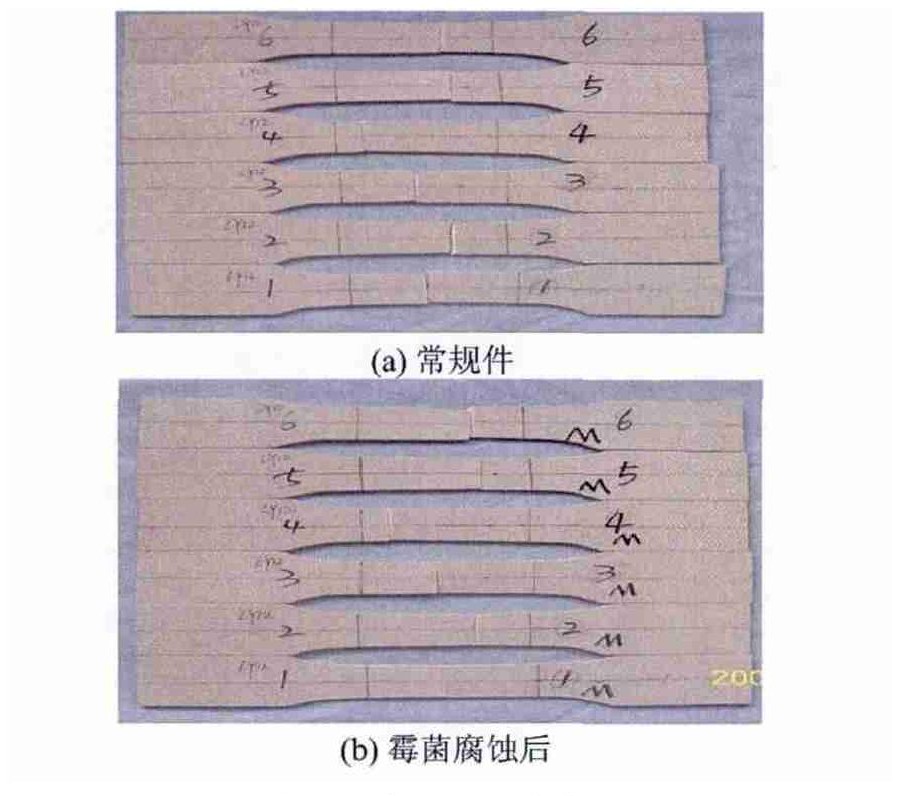 低空載人飛行器霉菌實驗箱對飛行汽車樣品的試驗研究(圖4)